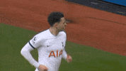 Happy Premier League GIF by Tottenham Hotspur
