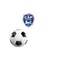 capontarlier football goal but pontarlier Sticker