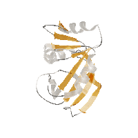 Biology Cell Sticker by NOVOS