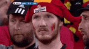 euro 2016 GIF by Sporza