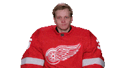 Red Wings Sport Sticker by Detroit Red Wings