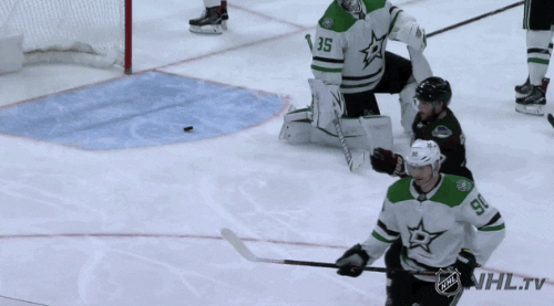 Celebrate Ice Hockey GIF by NHL