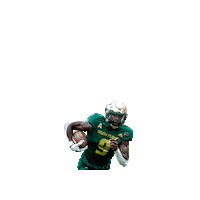 Usf Football Sticker by SoFloBulls