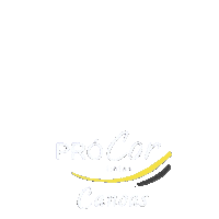 prcorcanoas pró cor tintas pró cor canoas pró cor tintas canoas Sticker