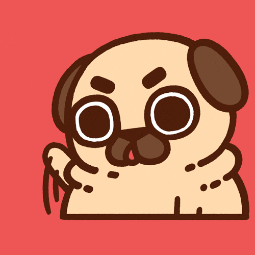GIF by Puglie Pug