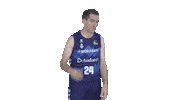 Liga Endesa Basketball Sticker by ACB