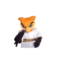 Ncaa Mascot Sticker by Rowan University