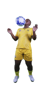 Happy Sport Sticker by Shield South Africa