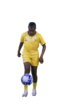 Banyanabanyana Sticker by Shield South Africa