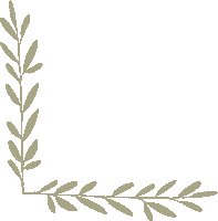 Plant Momentsthatmatter Sticker