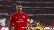 sl benfica salute GIF by Sport Lisboa e Benfica