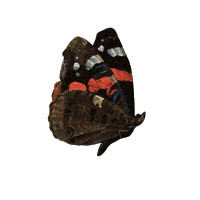 17Th Century Sticker by Kimbell Art Museum