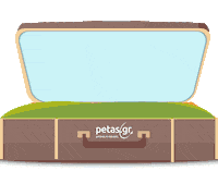 Petasgr travel plane airplane flight Sticker