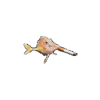 Orange Hover Sticker
