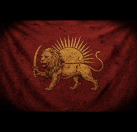 Shirokhorshid GIF