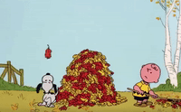 Charlie Brown Fall GIF by Halloween