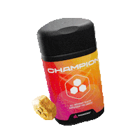 Champion Sticker by MADMONQ