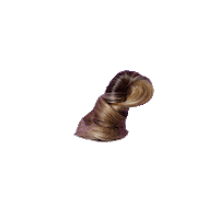 Hair Bun Sticker by BLOND:ISH