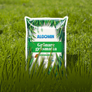 algomin giphyupload lawn fertilizer gras GIF