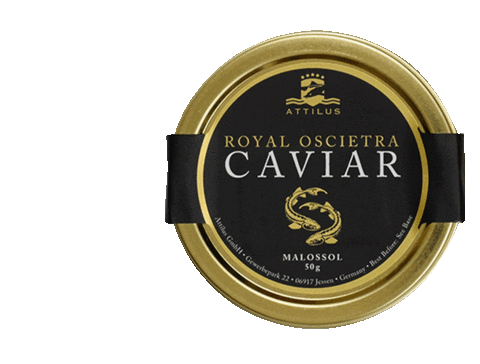 Attilus_caviar giphyupload royal caviar sturgeon Sticker