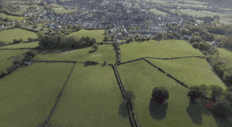 steps peak GIF