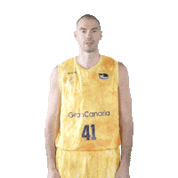 Vamos Lets Go Sticker by ACB