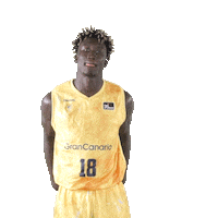 Liga Endesa Basketball Sticker by ACB