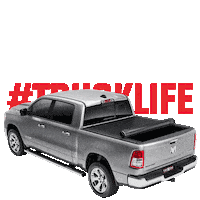 Trucks Sticker by RealTruck