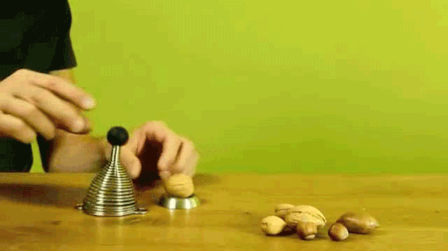 nuts GIF
