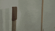 youtube punch face GIF by Youdeo