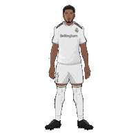 Real Madrid Football Sticker by SportsManias