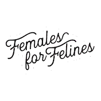 CoolCatLadyClub cat cool cats female Sticker