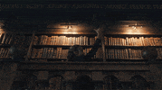 Magic Amc GIF by A Discovery of Witches
