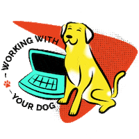 Marketing Agency Sticker by SmartBug Media