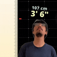3' 6"