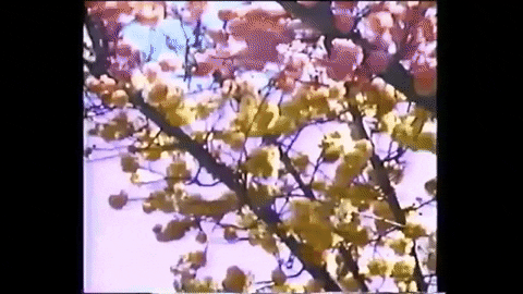 Vhs Dope GIF