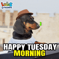 Taco Tuesday GIF by Lucas and Friends by RV AppStudios