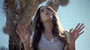 kacey musgraves GIF
