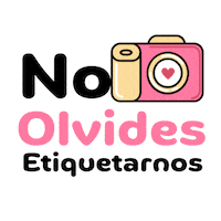 Cat Sticker