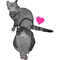 Cat Heart Sticker