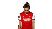 Celebrate Champions League Sticker by Arsenal