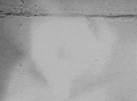 Dubstep Gifs GIF