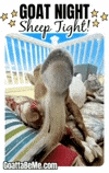Tired Good Night GIF by Goatta Be Me Goats! Adventures of Java, Toffee, Pumpkin and Cookie!