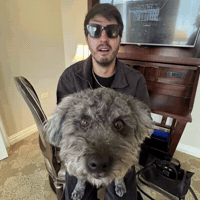 Happy New Year Congratulations GIF by Respective