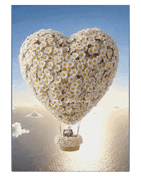 G Dragon Cat Sticker