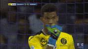 ligue 1 soccer GIF by Toulouse Football Club