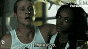 gotham GIF by Fox TV