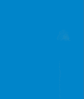 Drunk The Big Lebowski GIF by Gecko1