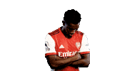 Celebrate London Sticker by Arsenal
