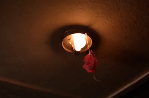 season 2 GIF by Twin Peaks on Showtime